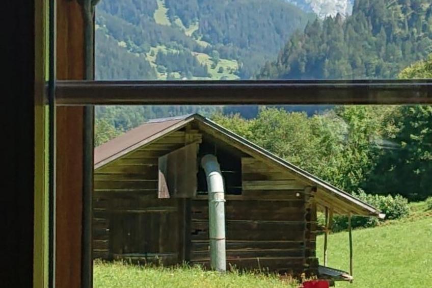 Alpen-Paradies - foto 12