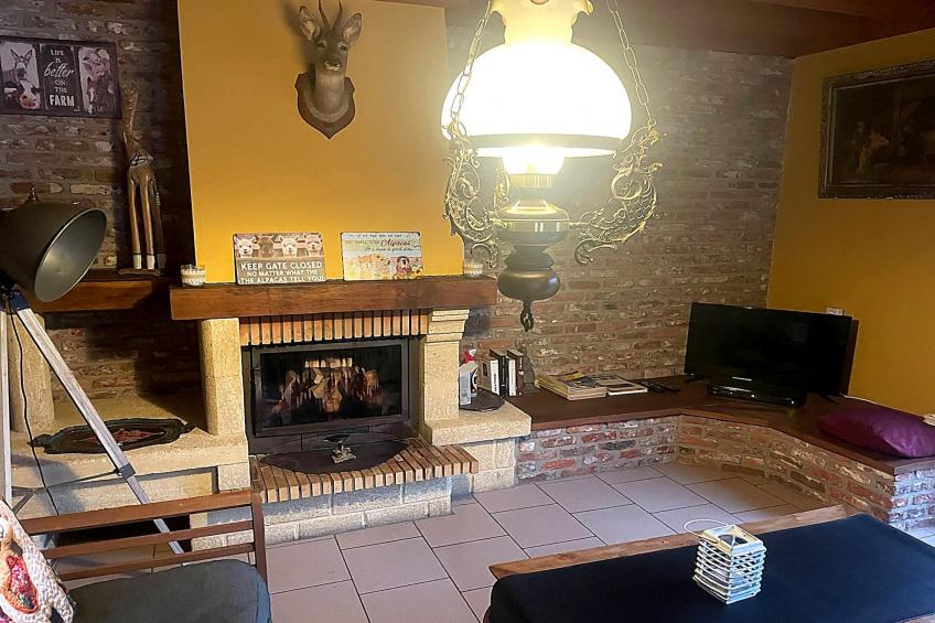 Hondvriendelijke woning met sauna en jacuzzi - foto 8