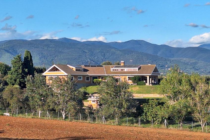 Finca el Olivar - foto 27