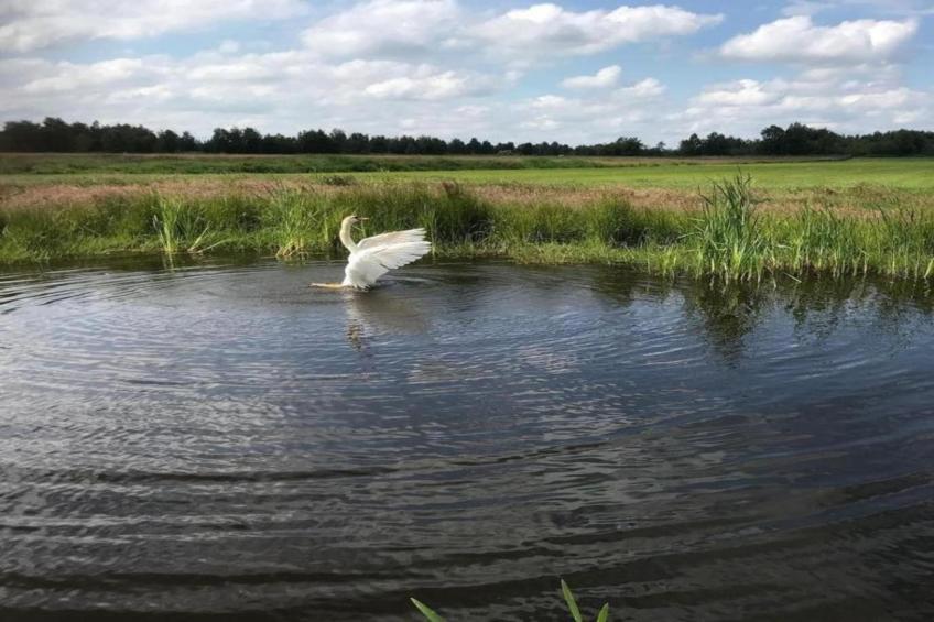 Luxe glamping met badkamer 2 - foto 34