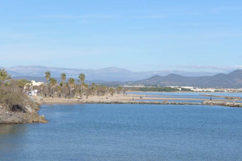 LES MAS DE LA MER - foto 36