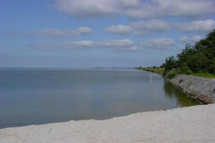 De Meerkoet - foto 37