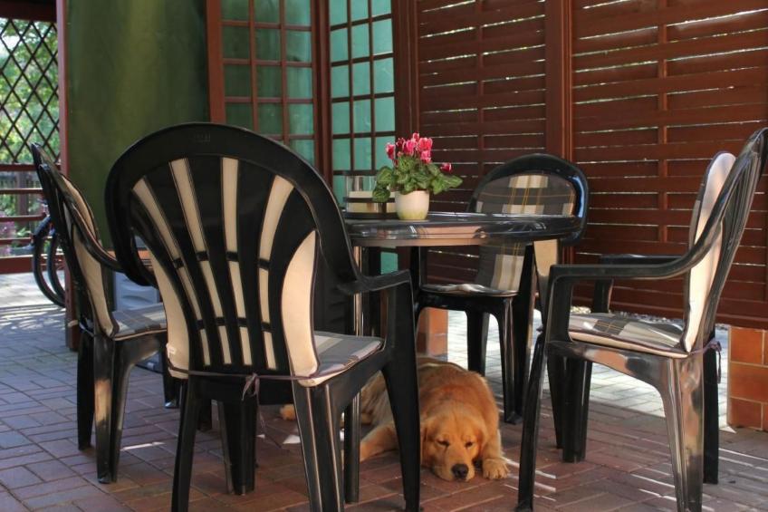 in Alt-Schadow mit Grill und Terrasse - foto 9