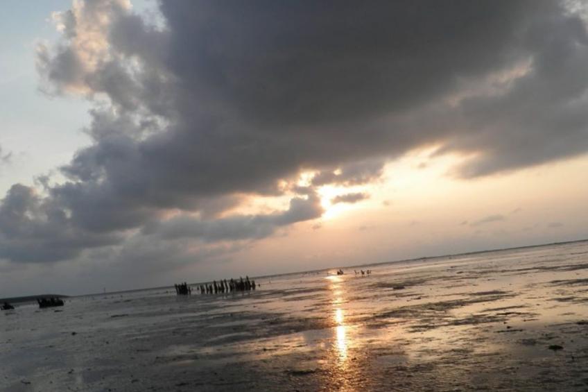 160 Olivia - foto 49