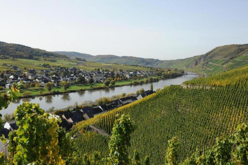 Weingut Justen-Kiebel - foto 25