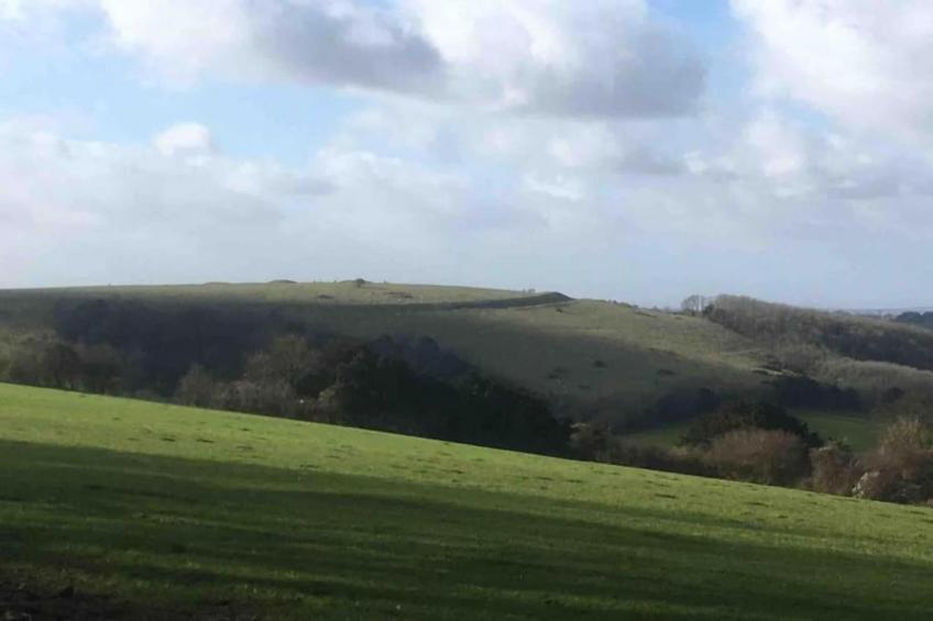 South Downs Lodge - foto 35