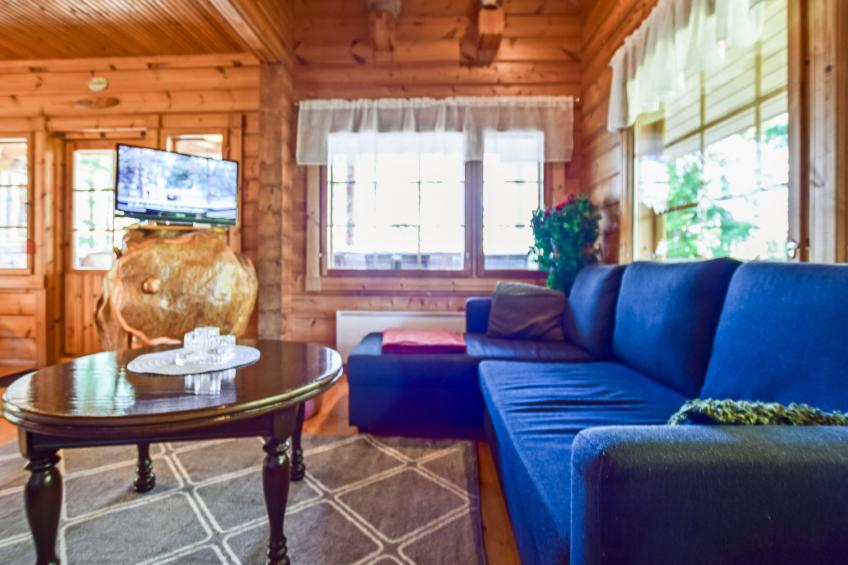 Linnunlaulu - foto 7