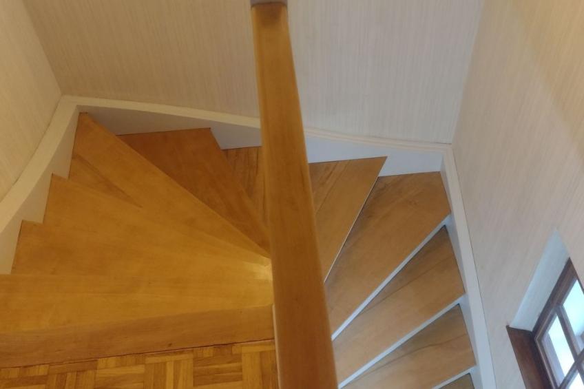 Bellevue mit Große Garten - foto 34