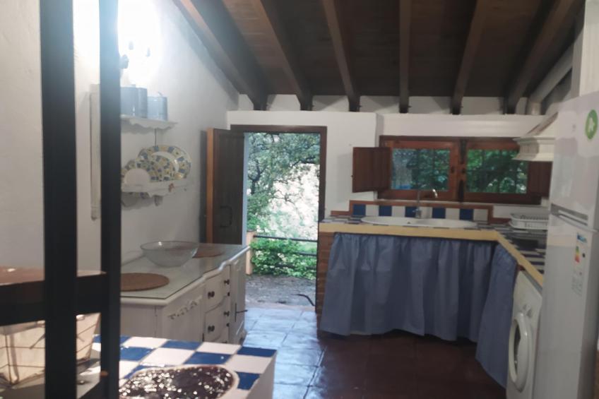 El Molino - foto 25