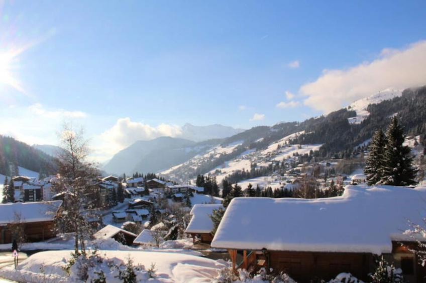 Chalet Les Sauvageons - foto 3