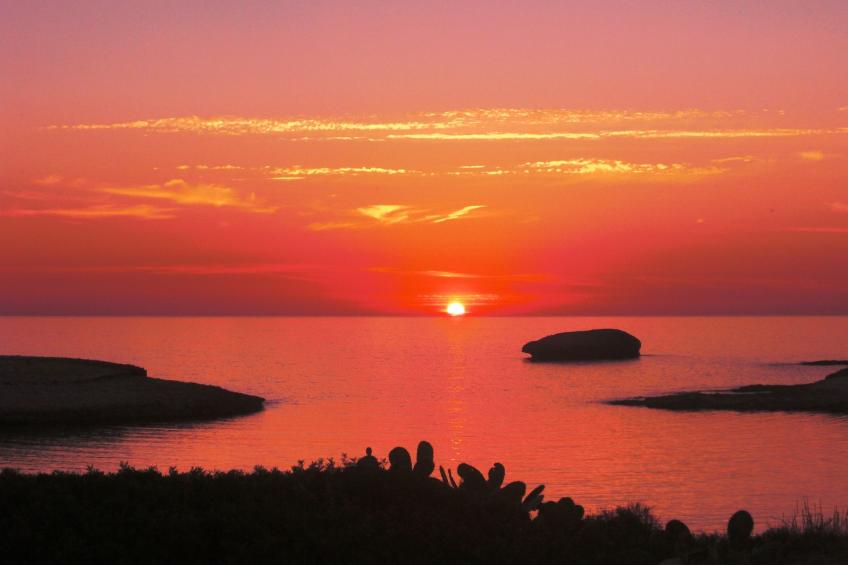 Wohnung S'archittu - foto 29