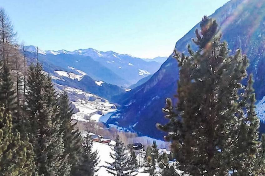 Adlerhorst/Chalet Großglockner - foto 42