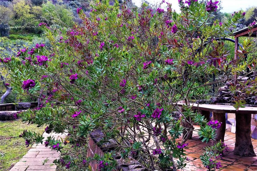 Granatapfel-Wohnung - foto 41