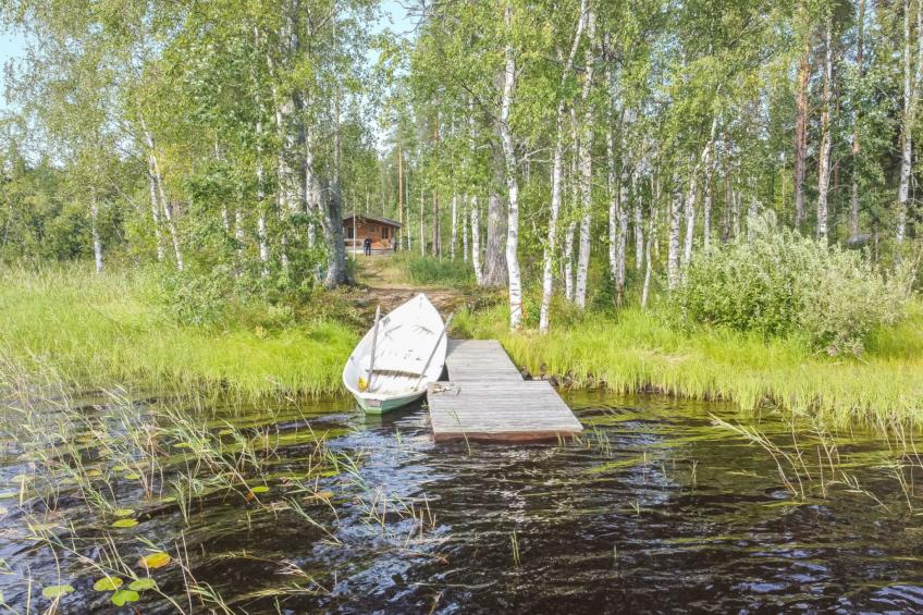 Niemenkärki, vaikon loma ja lohi - foto 14