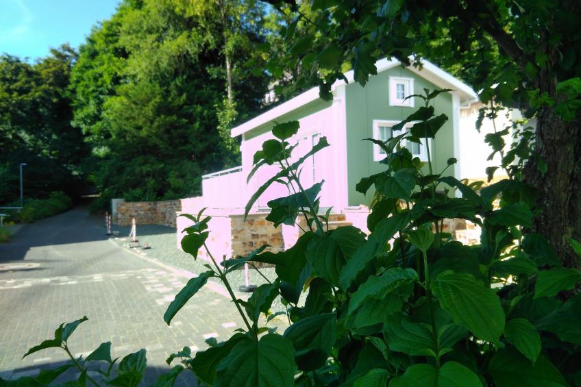 mit Grill in Bad Marienberg - foto 2