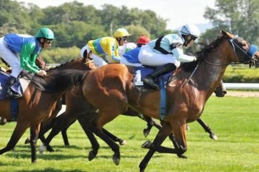 Traumwohnung - foto 31