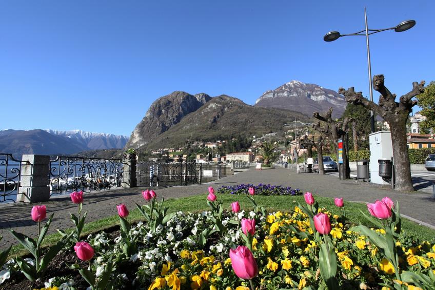 Rustico Logo Bellavista - foto 31