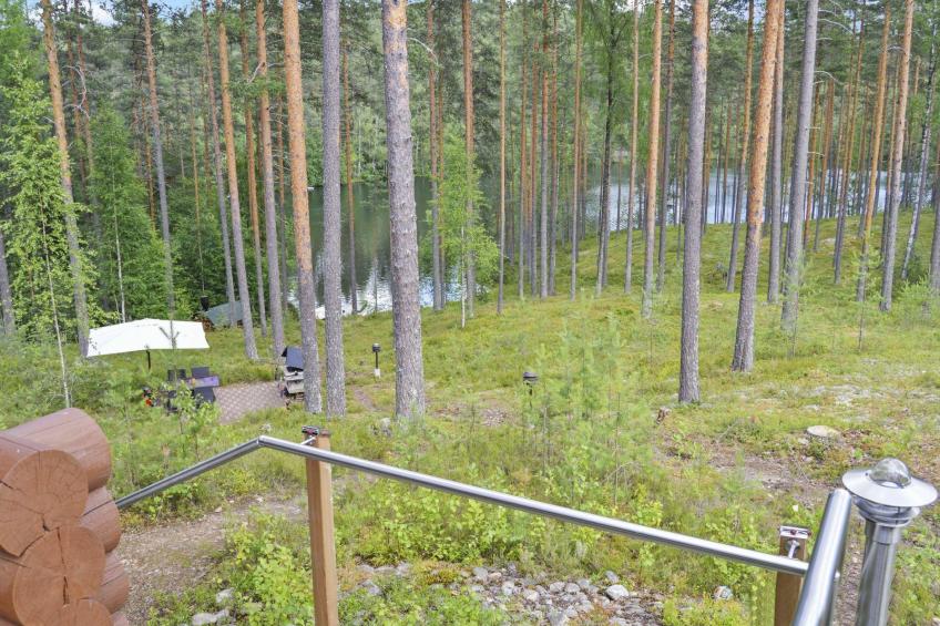 Villa tunturitervakko - foto 29