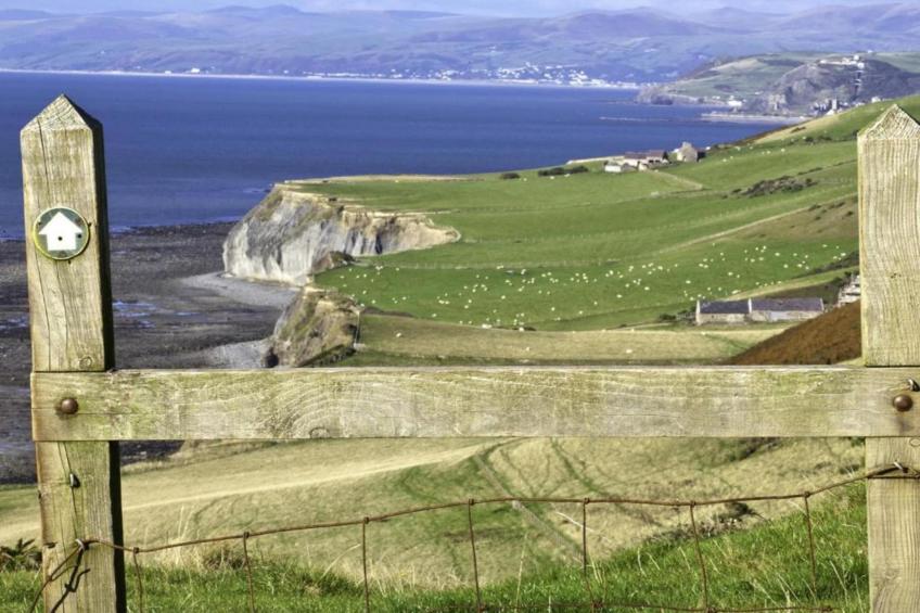 Brodawel - Field Cottage - foto 39