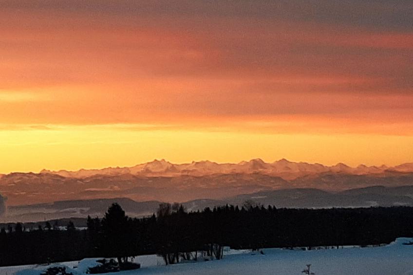 Gustis Hüsli - Alpensicht & Natur pur - foto 57