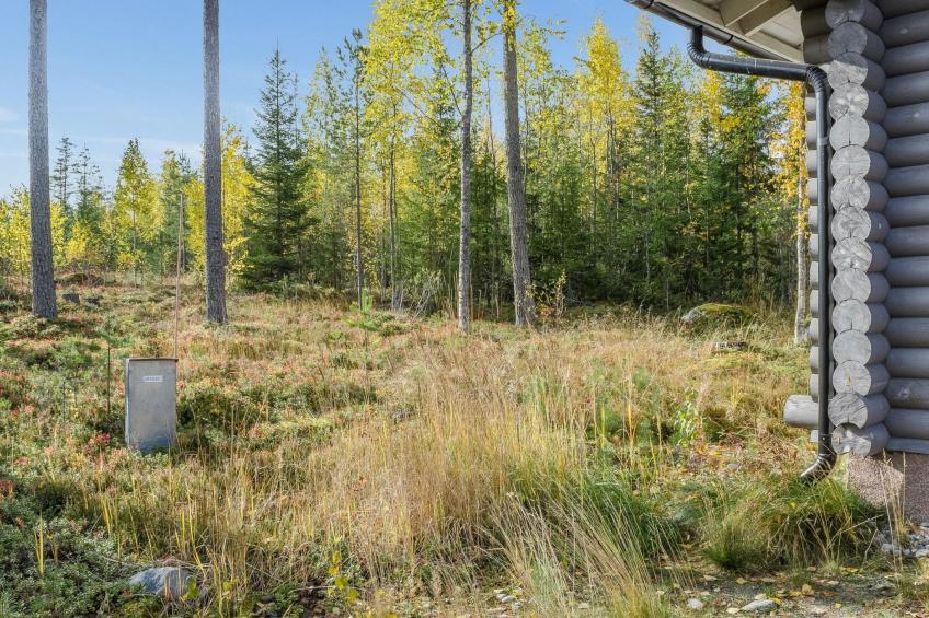 Markenniemi - foto 21