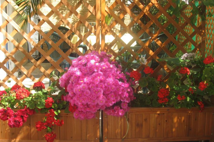 für 8 Personen - foto 8