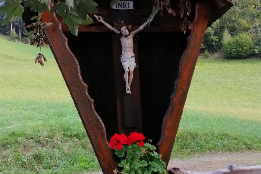 Waldpension Ranner - foto 13