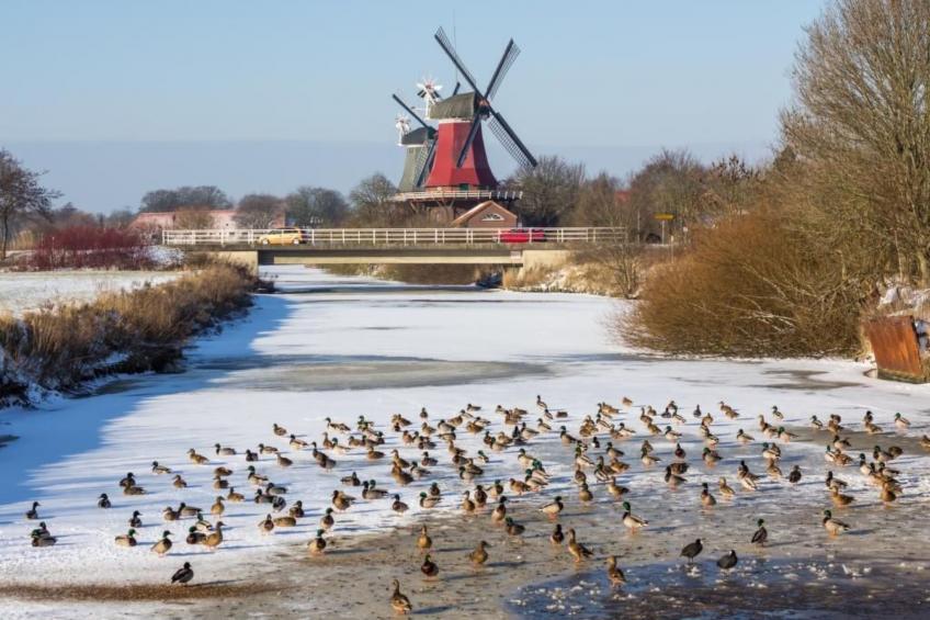 Tinis Huus ant Siel - foto 24