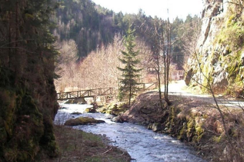 Haus "Hermann" - foto 28