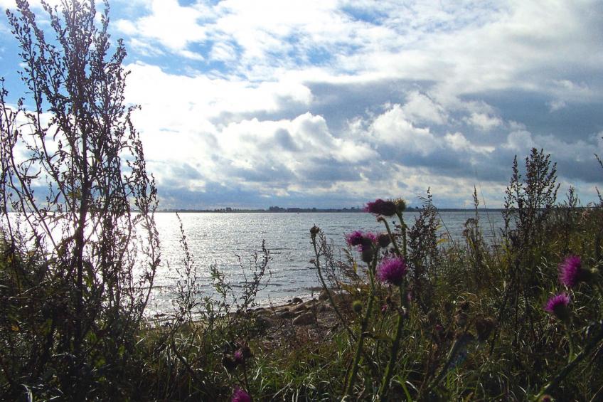 Ferienanlage Petersdorf, Fehmarn-Petersdorf - Typ E - foto 29