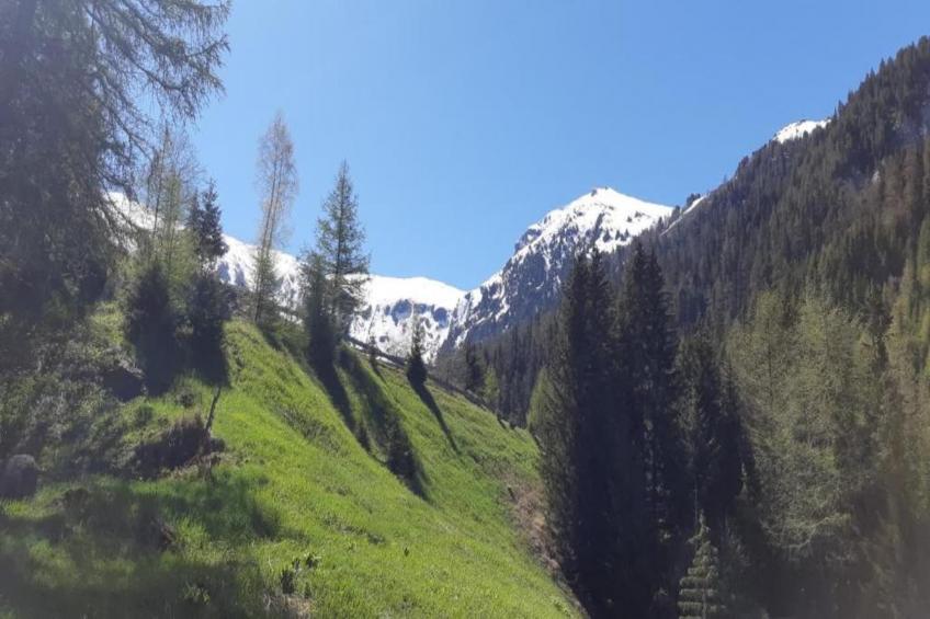 La Turra N°312 - 3P4 - foto 10