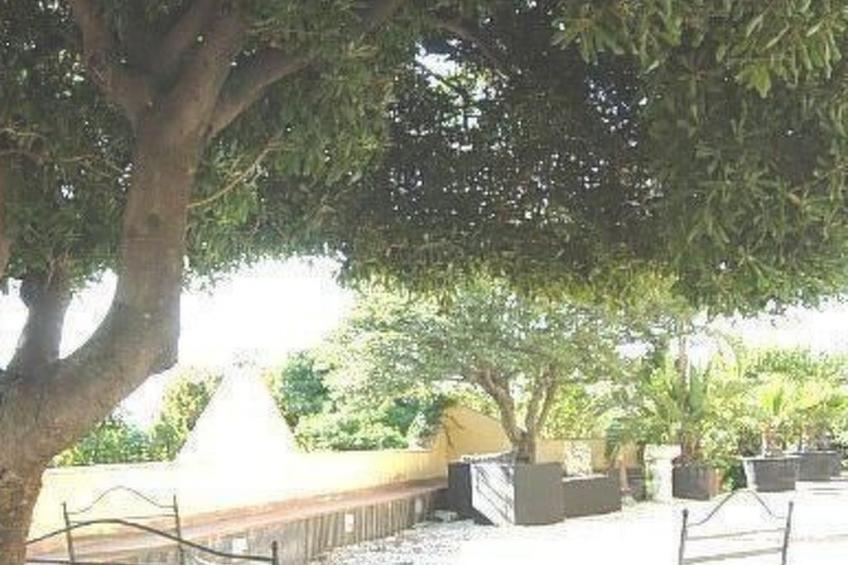 Wohnung mit Garten, Terrasse und Grill - foto 21