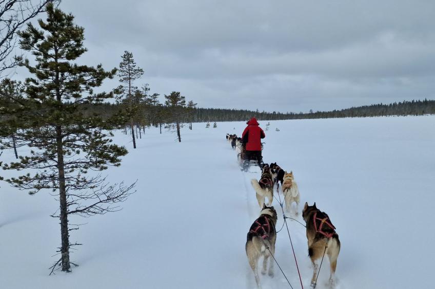 Villa Edda - foto 30