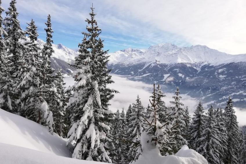 Chalet 3 Zi. in ruhiger Lage, in der Nähe von Verbier - foto 22