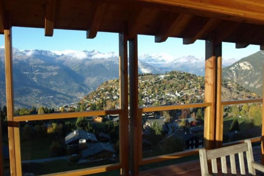 Blue Merle - foto 30