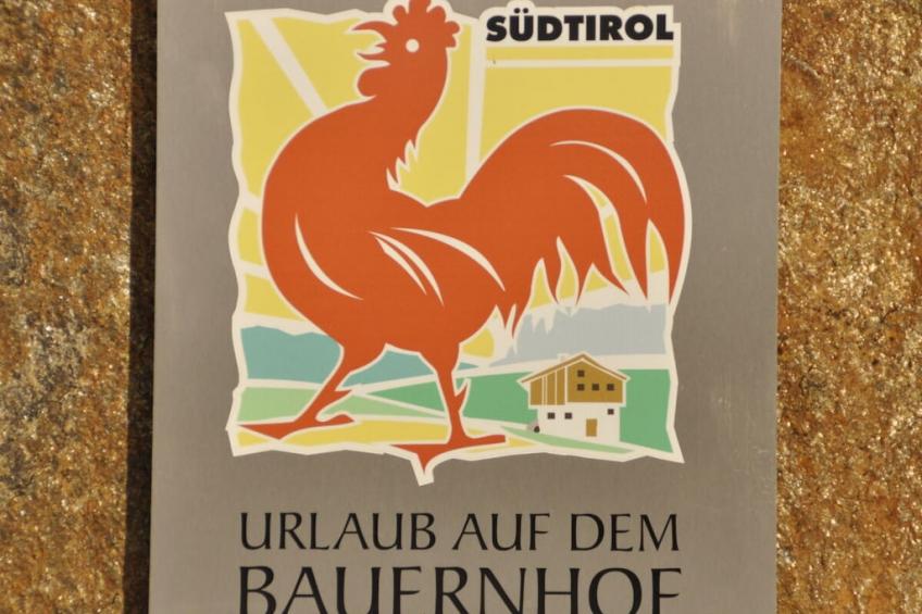 479256 - foto 44