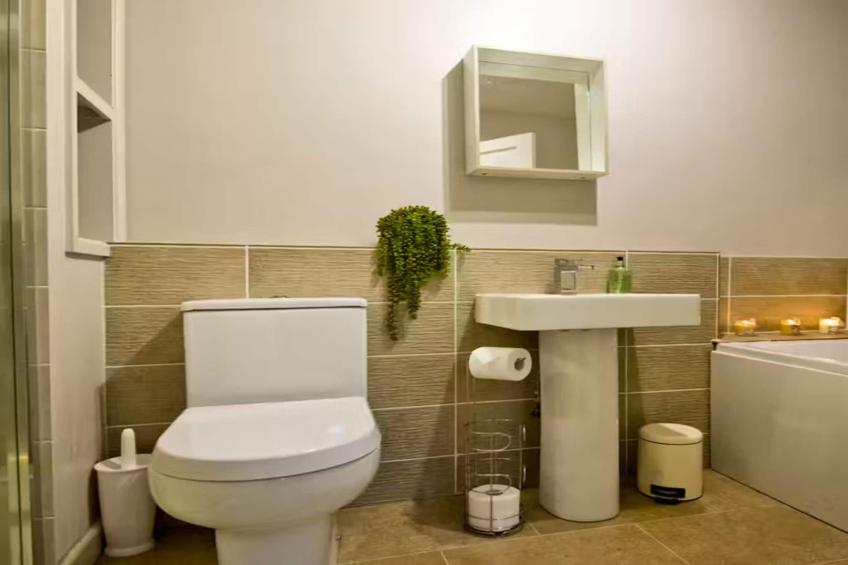 The Anchor - foto 29