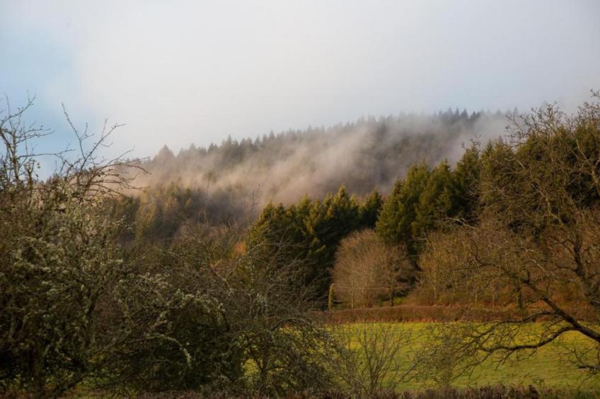 Villa 8 pers piscine - foto 35