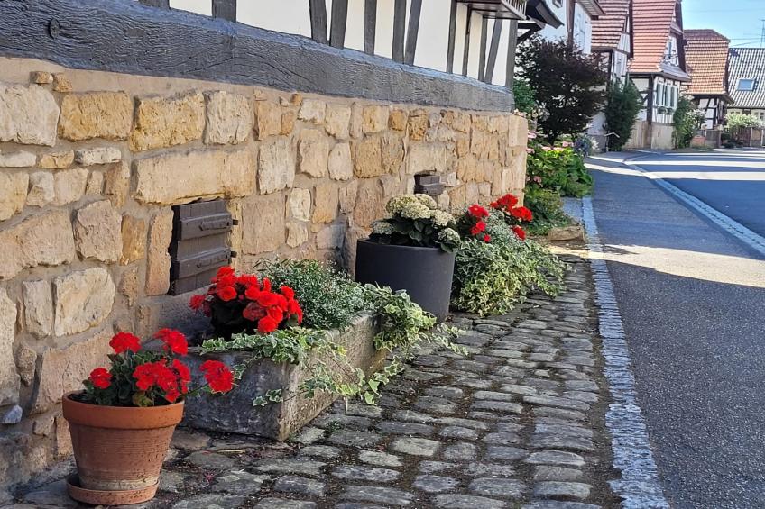 Maison de vacances - SCHLEITHAL - foto 39