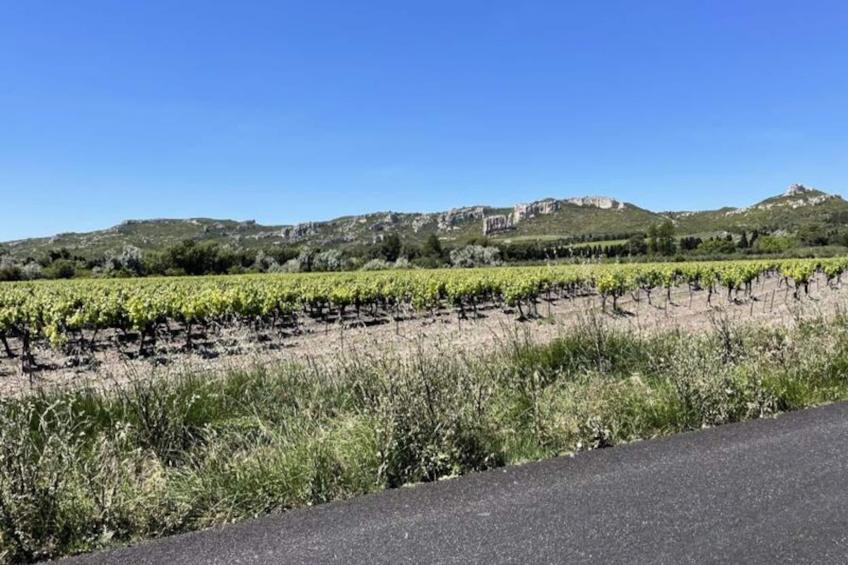 Belle Villa Contemporaine, Piscine Et Grand Jardin - foto 42