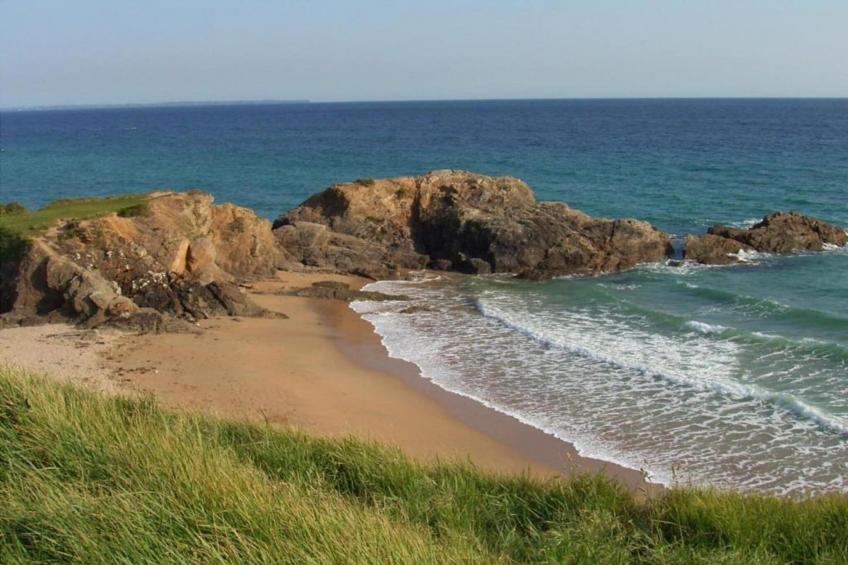 Maison de la Foret - foto 35