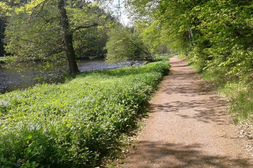 Urlaub in der Natur! - foto 32