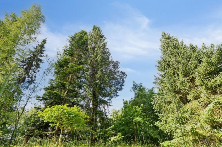 "Borghild" - 1km from the sea - foto 21