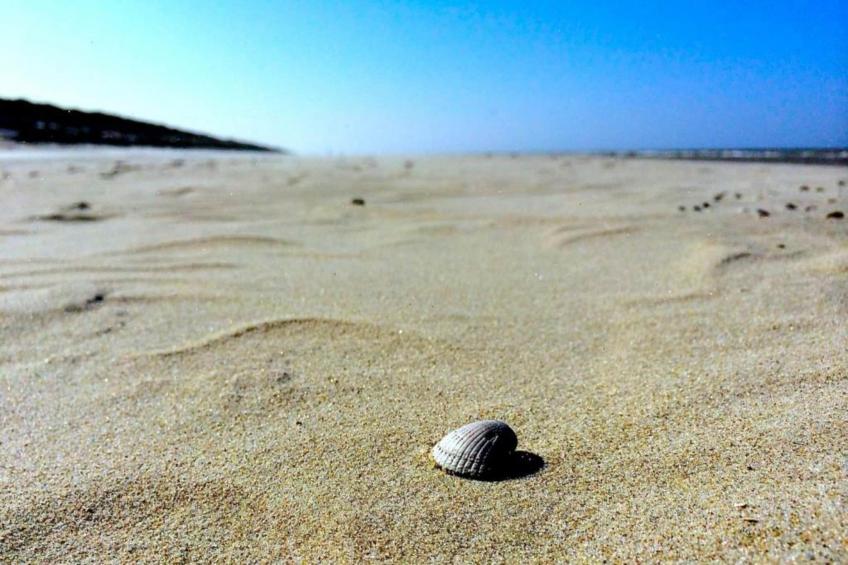 't Hoogelandt - foto 33