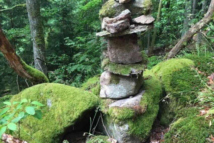 FeWo Stodlwerk - foto 43