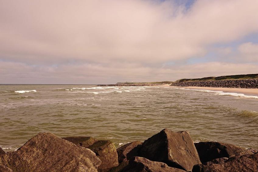 BF-D7W2H - foto 20