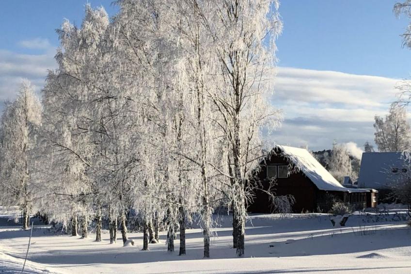 Schöne große "Villa Stolle" 9 Personen 2 Bäder - foto 42