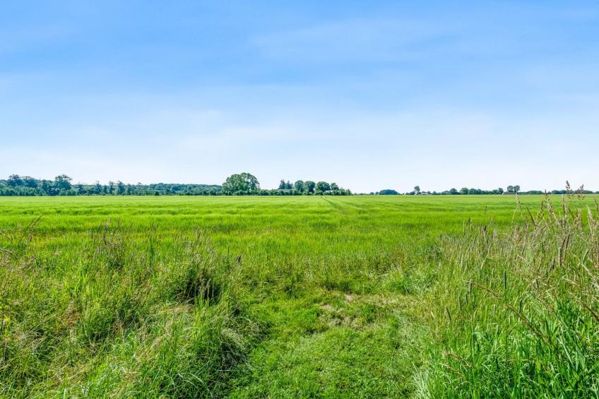 "Patrice" - 300m from the sea - foto 4