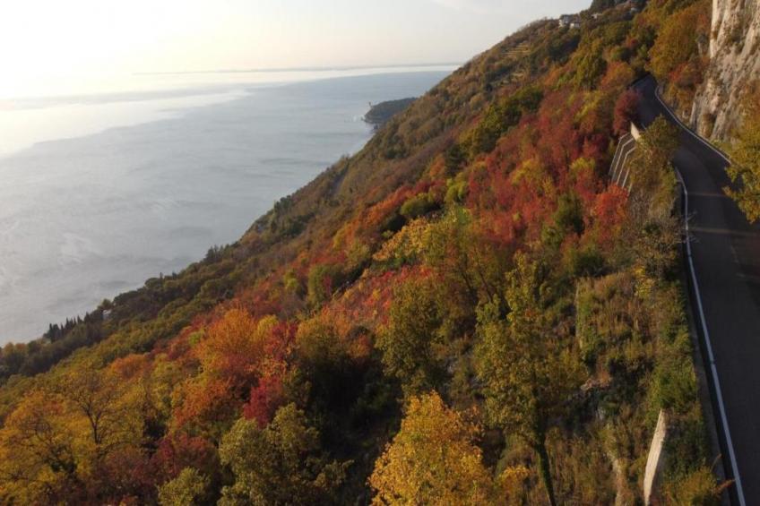 Les Balcons d'Auréa - foto 27