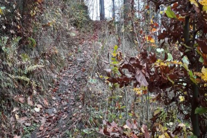 Vakantiehuis, Wieda - foto 24